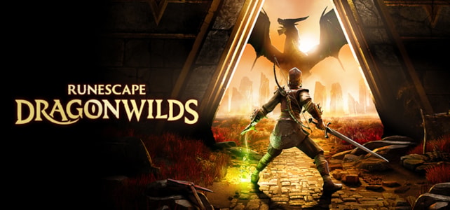 RuneScape Dragonwilds settings
