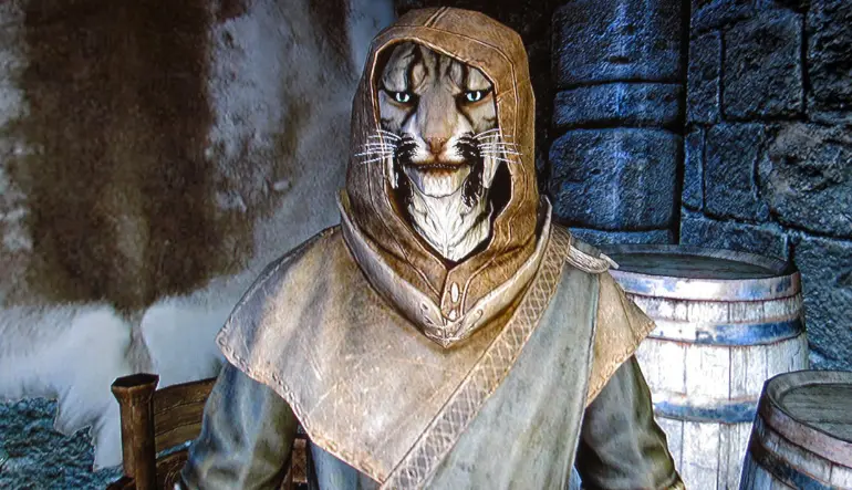 top companions skyrim
