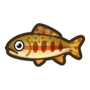 rare fish on animal crossing