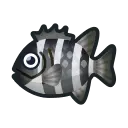 rarest fish in animal crossing