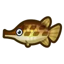 rarest fish in animal crossing