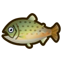 rare fish on animal crossing