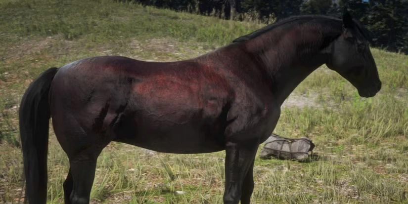 rdr2 horses ranked