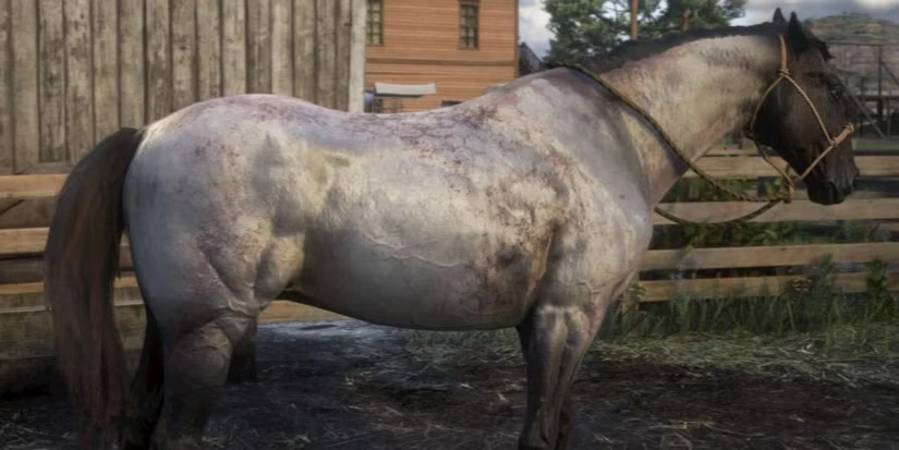 rdr2 horse rankings