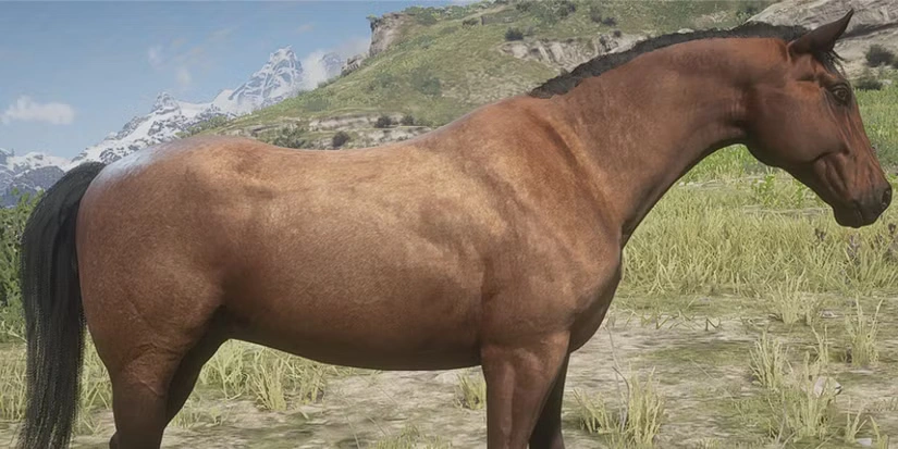 best horses rdr2