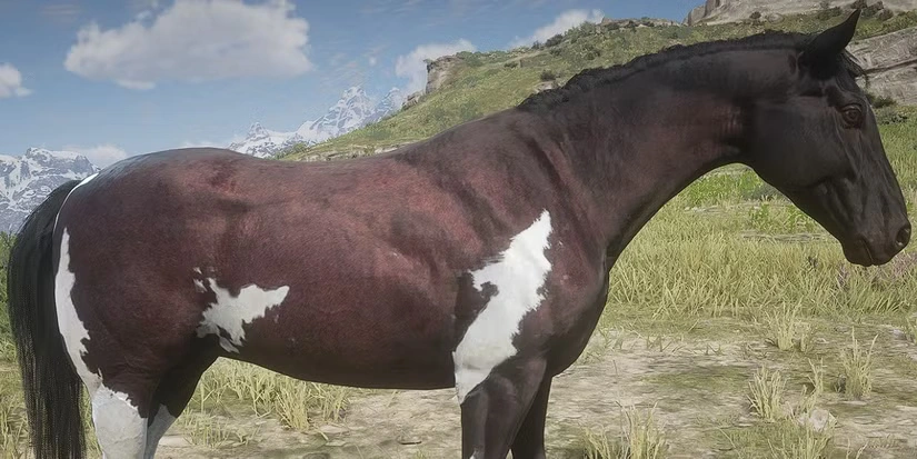 best horses rdr2